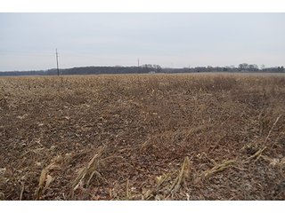 Property photo 6 - LAND AUCTION, 77 Acres offered in 3 Tracts